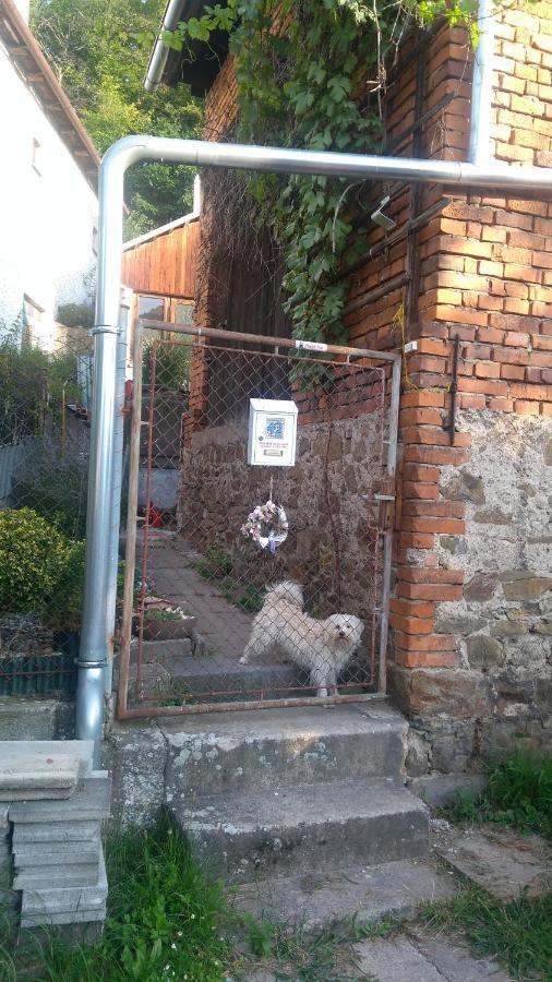 U Babicky A Jeji Psi Smecky Guest House Veselicko Exterior photo